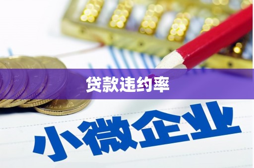 肃州贷款违约率