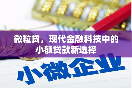 肃州微粒贷，现代金融科技中的小额贷款新选择