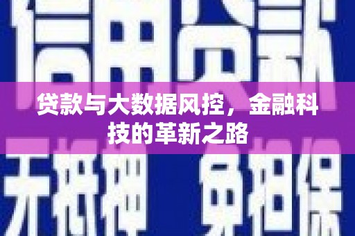 肃州贷款与大数据风控，金融科技的革新之路
