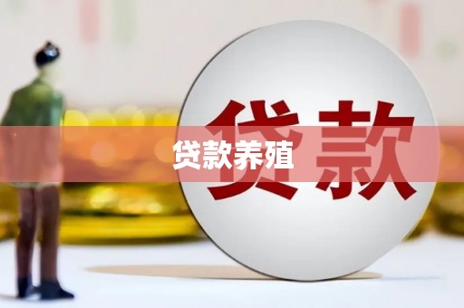 肃州贷款养殖
