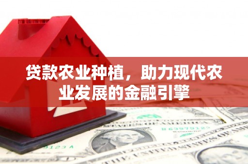 肃州贷款农业种植，助力现代农业发展的金融引擎