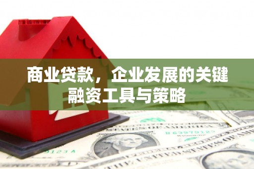 肃州商业贷款，企业发展的关键融资工具与策略