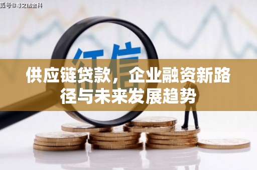 肃州供应链贷款，企业融资新路径与未来发展趋势