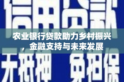 肃州农业银行贷款助力乡村振兴，金融支持与未来发展