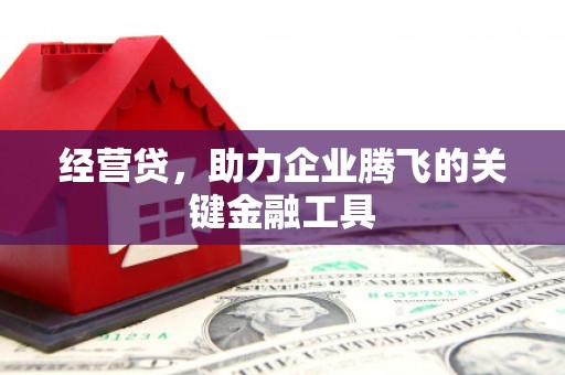肃州经营贷，助力企业腾飞的关键金融工具