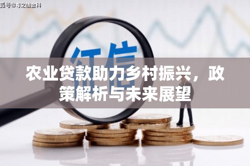 肃州农业贷款助力乡村振兴，政策解析与未来展望
