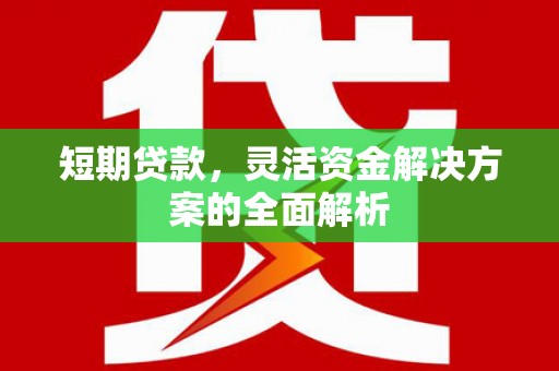 肃州短期贷款，灵活资金解决方案的全面解析