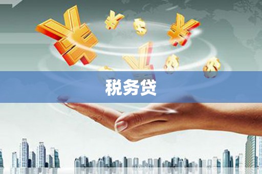 肃州税务贷