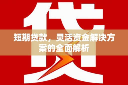 肃州短期贷款，灵活资金解决方案的全面解析