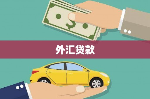 肃州外汇贷款