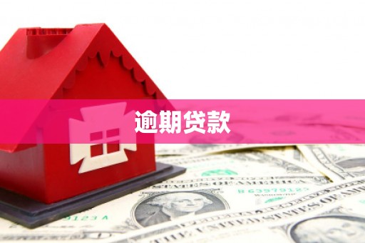 肃州逾期贷款