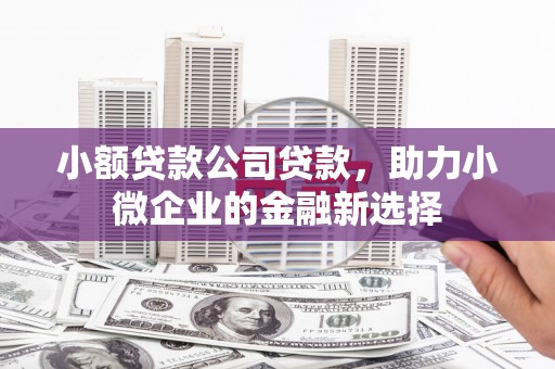 肃州小额贷款公司贷款，助力小微企业的金融新选择