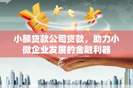 肃州小额贷款公司贷款，助力小微企业发展的金融利器
