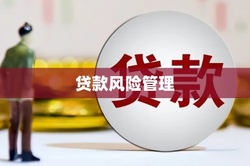 肃州贷款风险管理