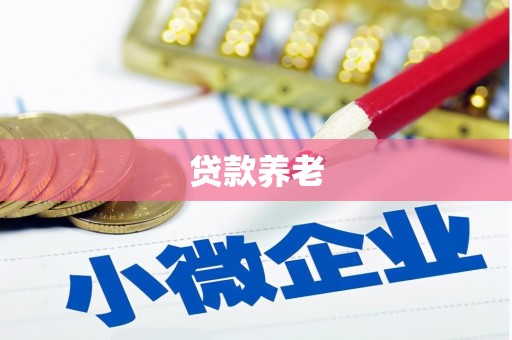 肃州贷款养老