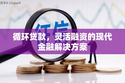 肃州循环贷款，灵活融资的现代金融解决方案