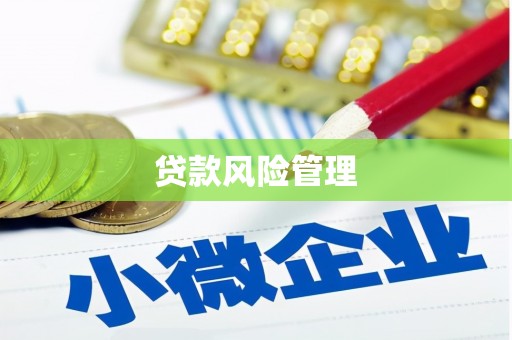 肃州贷款风险管理