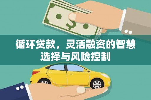 肃州循环贷款，灵活融资的智慧选择与风险控制