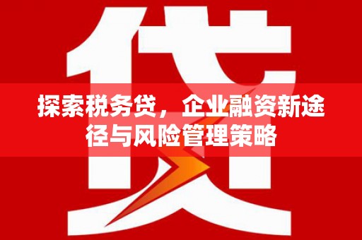肃州探索税务贷，企业融资新途径与风险管理策略