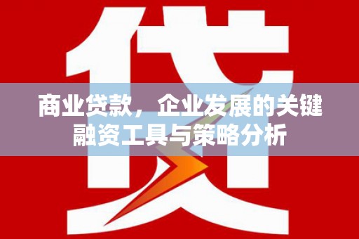 肃州商业贷款，企业发展的关键融资工具与策略分析