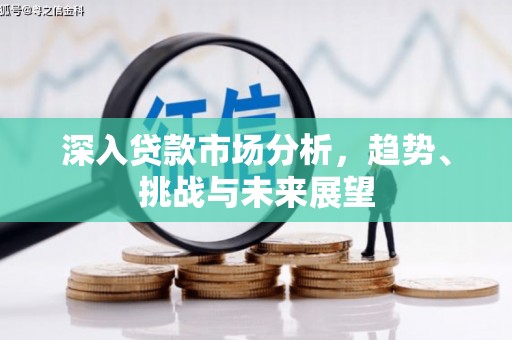 肃州深入贷款市场分析，趋势、挑战与未来展望