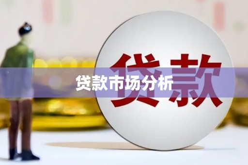 肃州贷款市场分析