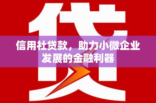 肃州信用社贷款，助力小微企业发展的金融利器