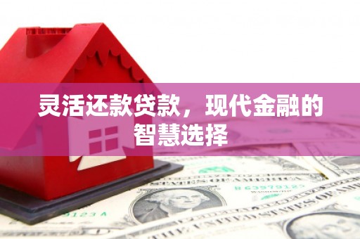 肃州灵活还款贷款，现代金融的智慧选择