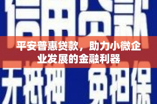 肃州平安普惠贷款，助力小微企业发展的金融利器
