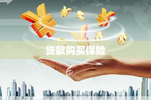 肃州贷款购买保险