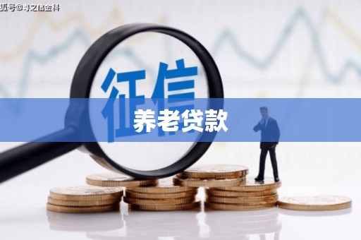 肃州养老贷款