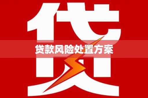 肃州贷款风险处置方案